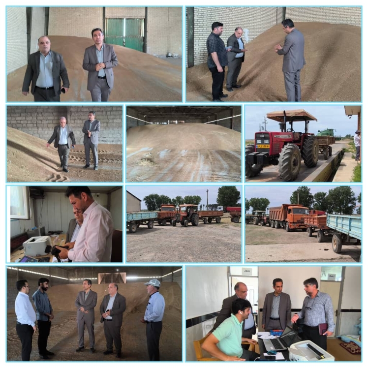 بازدید معاون فرماندار از ۷ مراکز خرید گندم در شهرستان پارس آباد مغان