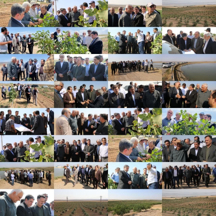 بازدید استاندار اردبیل و هلدینگ ماهان از شرکت کشت و صنعت و دامپروری مغان و شرکت ملی پارس