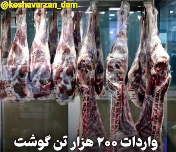واردادت 200 هزار تن گوشت قرمز