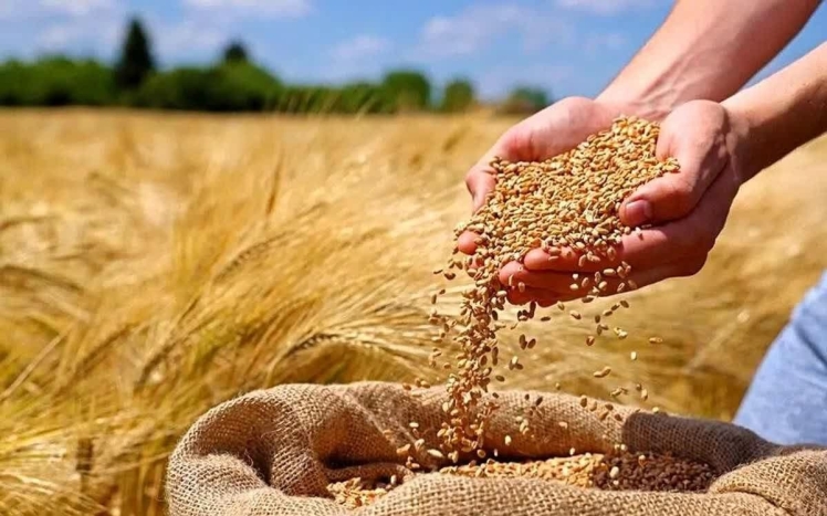 دیوان عدالت اداری، تغییر مدیریت ایران خودرو را قانونی اعلام کرد