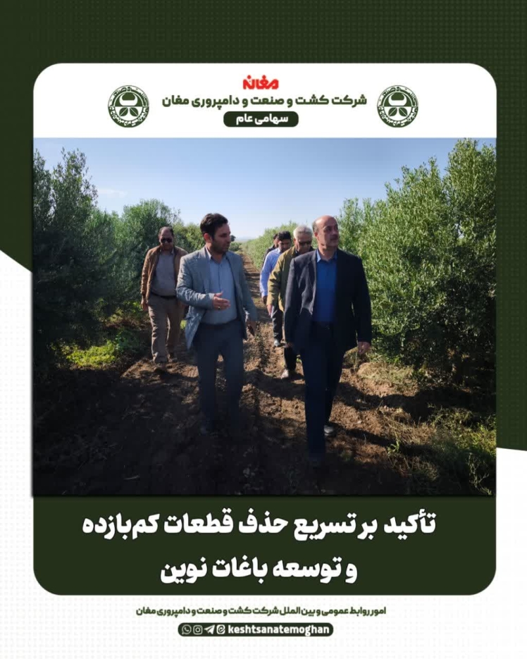 تاکید و حذف قطعات کم بازده و توسعه باغات نوین