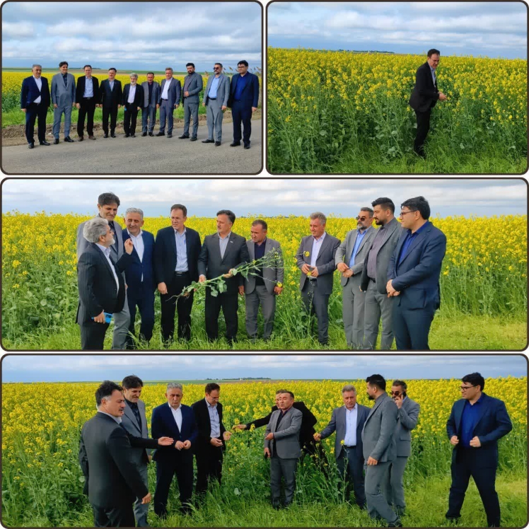 بازدید میدانی نماینده مردم شهرستانهای پارس آباد ، بیله سوار و اصلاندوز در مجلس شورای اسلامی بهمراه سرپرست فرماندار پارس آباد مغان و مدیر عامل و اعضای هیات مدیره زپارس از اراضی زراعی شرکت ملی کشت و صنعت و دامپروری پارس